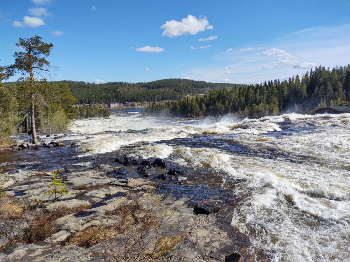 Lagomhuset - A Peaceful Holiday In Swedish Lapland Vidsel Kültér fotó