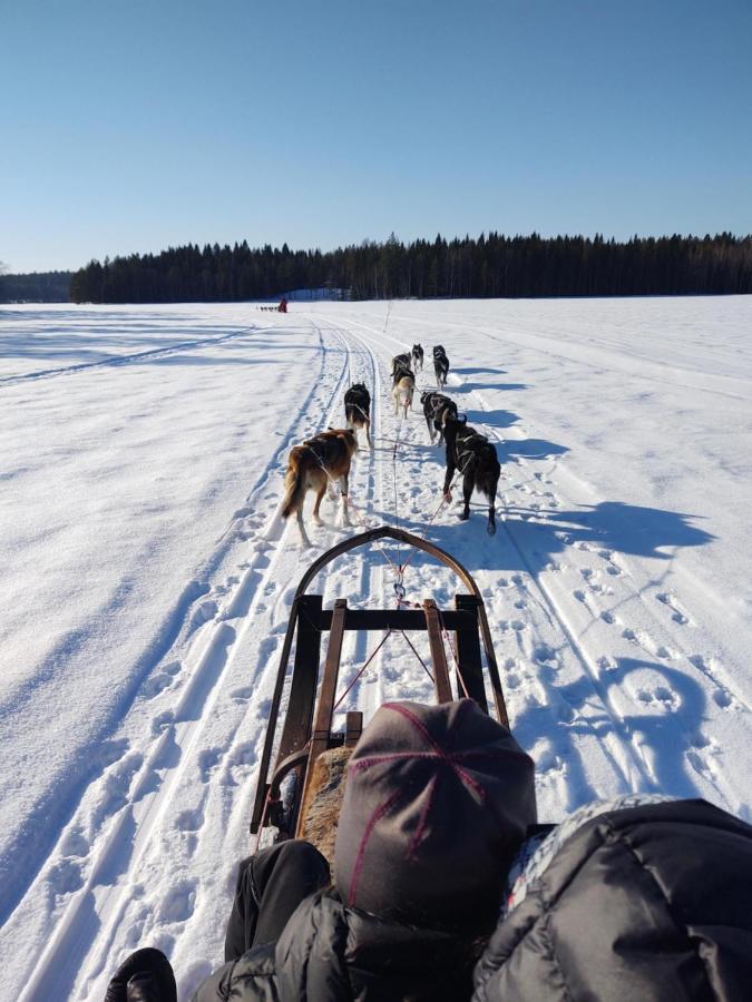 Lagomhuset - A Peaceful Holiday In Swedish Lapland Vidsel Kültér fotó